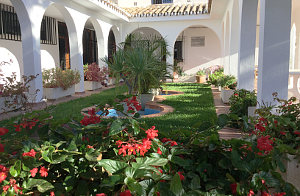 Patio im Inneren mit Gras und Blumen Los Rubios